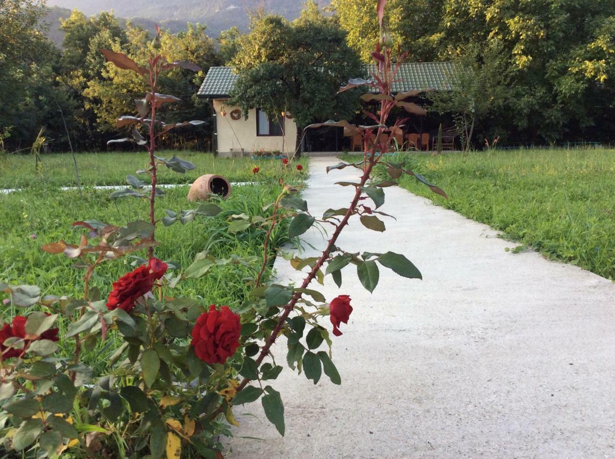 Taripiri Villa Ambrolauri Exterior photo